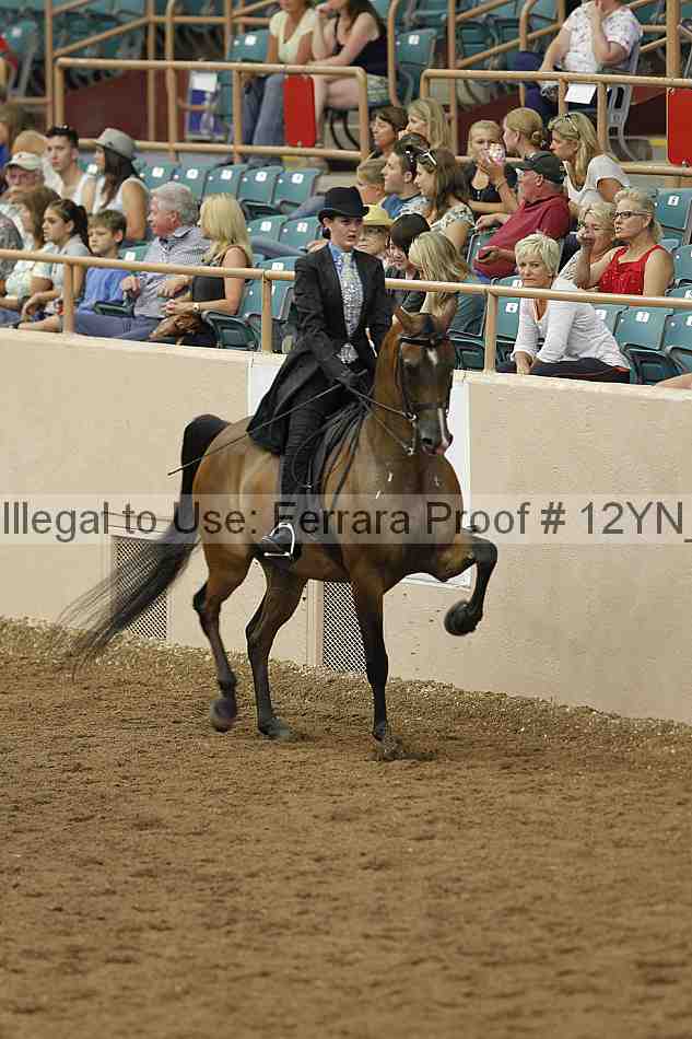 Proof 12yn_06969