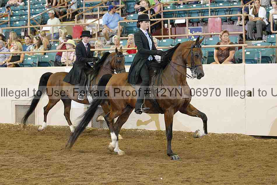 Proof 12yn_06970