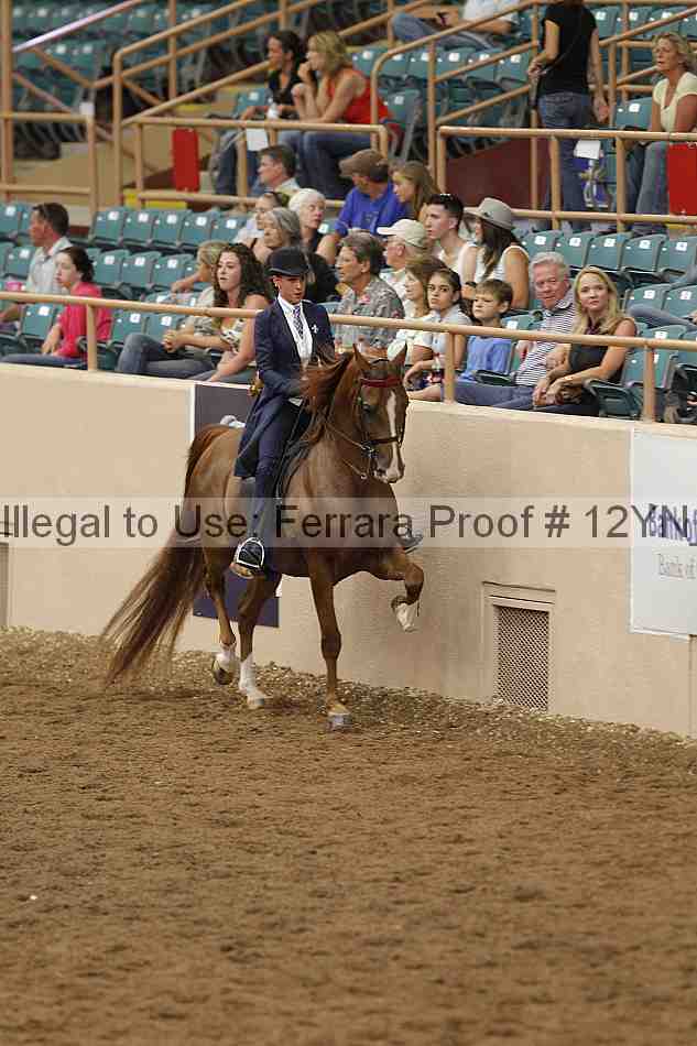 Proof 12yn_06971