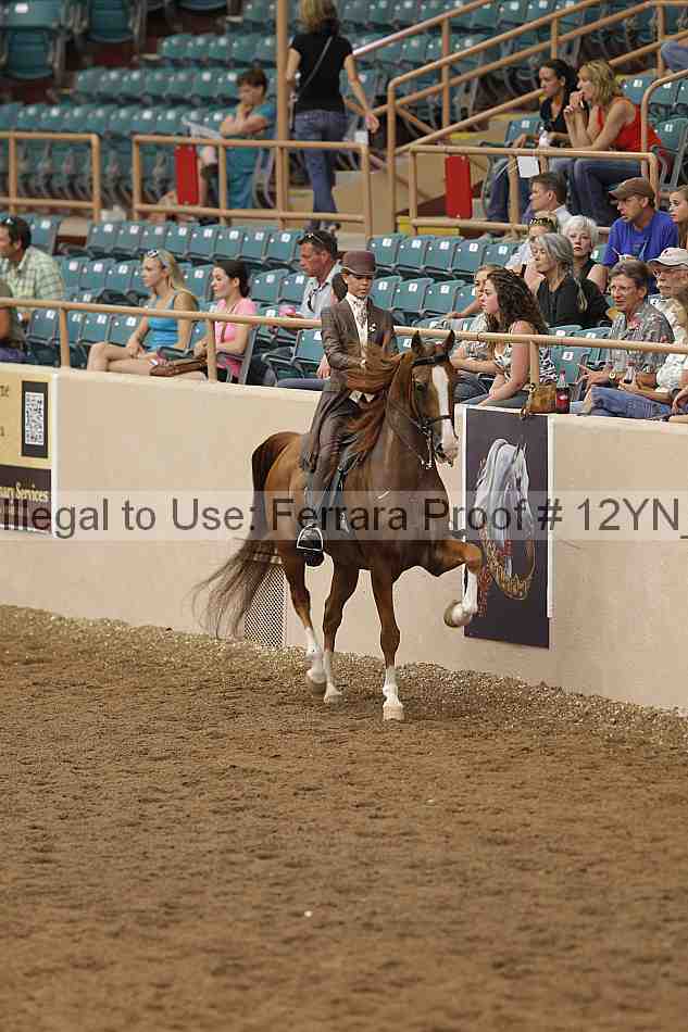 Proof 12yn_06972