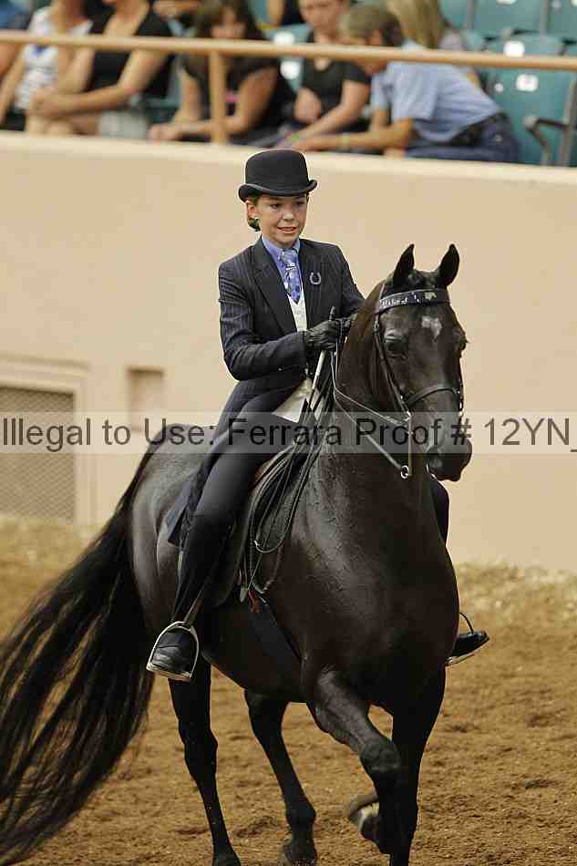 Proof 12yn_06974