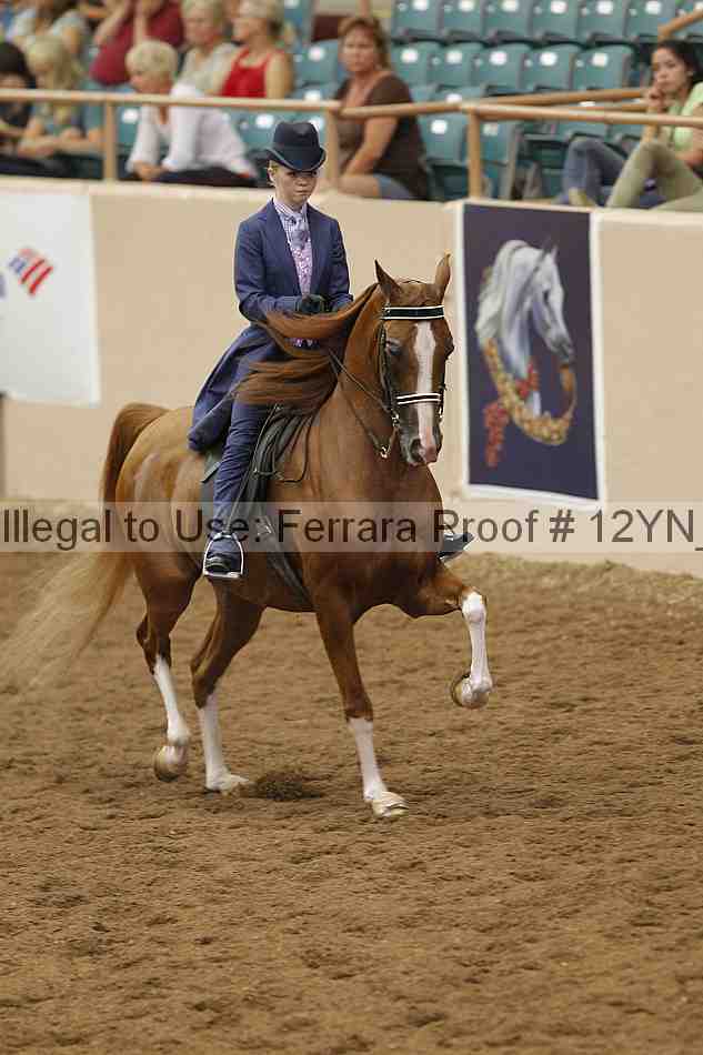 Proof 12yn_06977