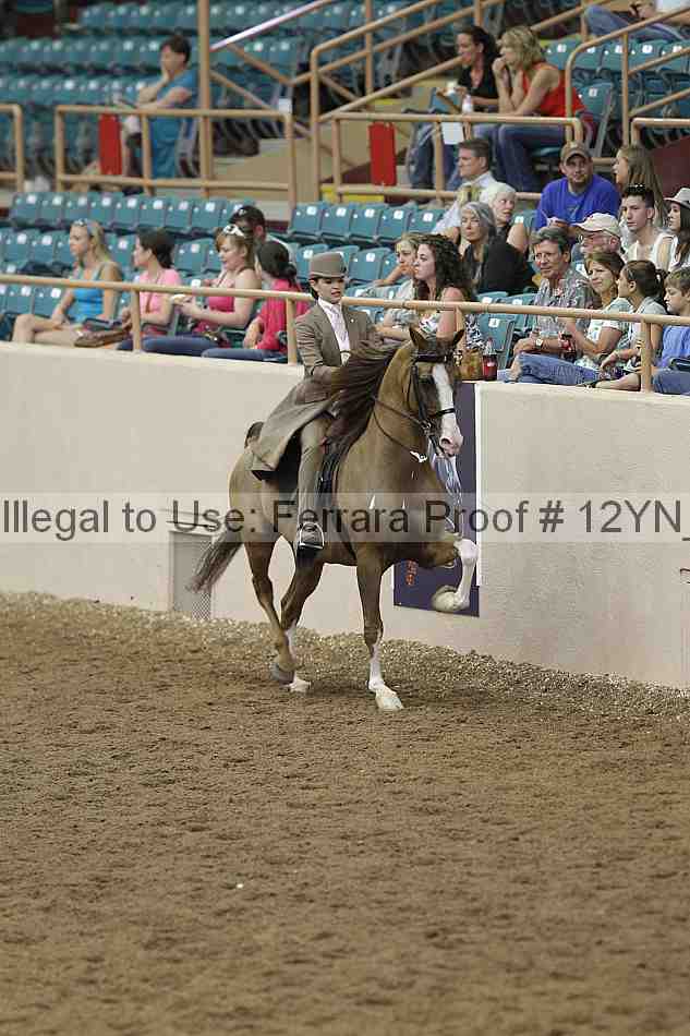 Proof 12yn_06978