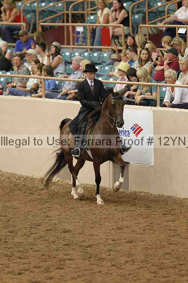 Proof 12yn_06980