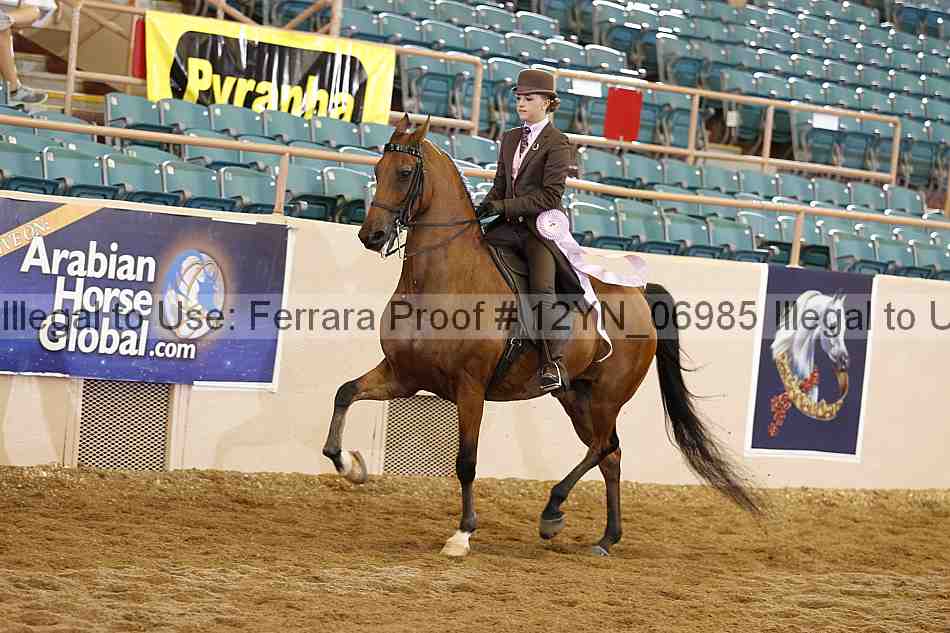 Proof 12yn_06985