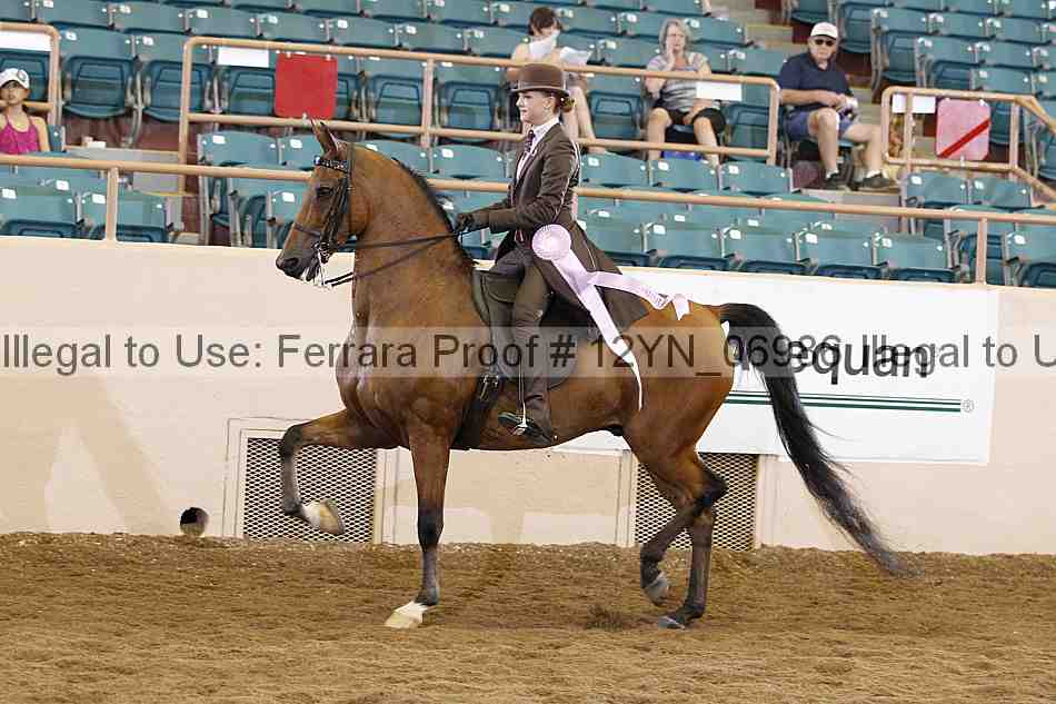 Proof 12yn_06986