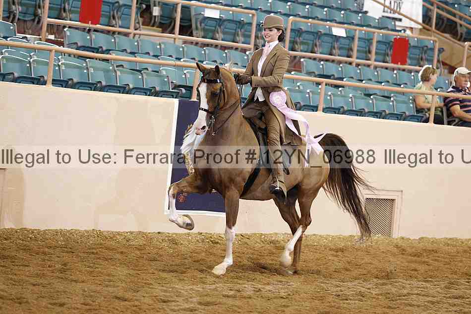 Proof 12yn_06988
