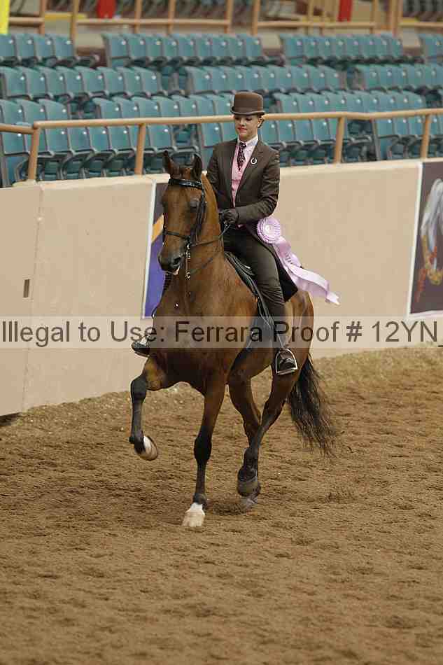 Proof 12yn_06991