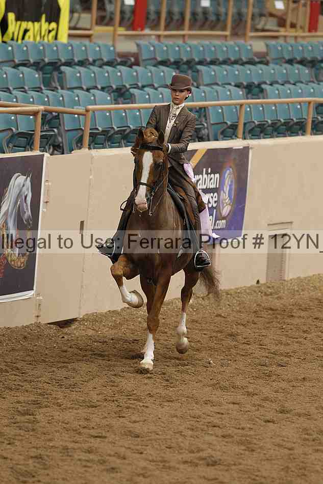 Proof 12yn_06993