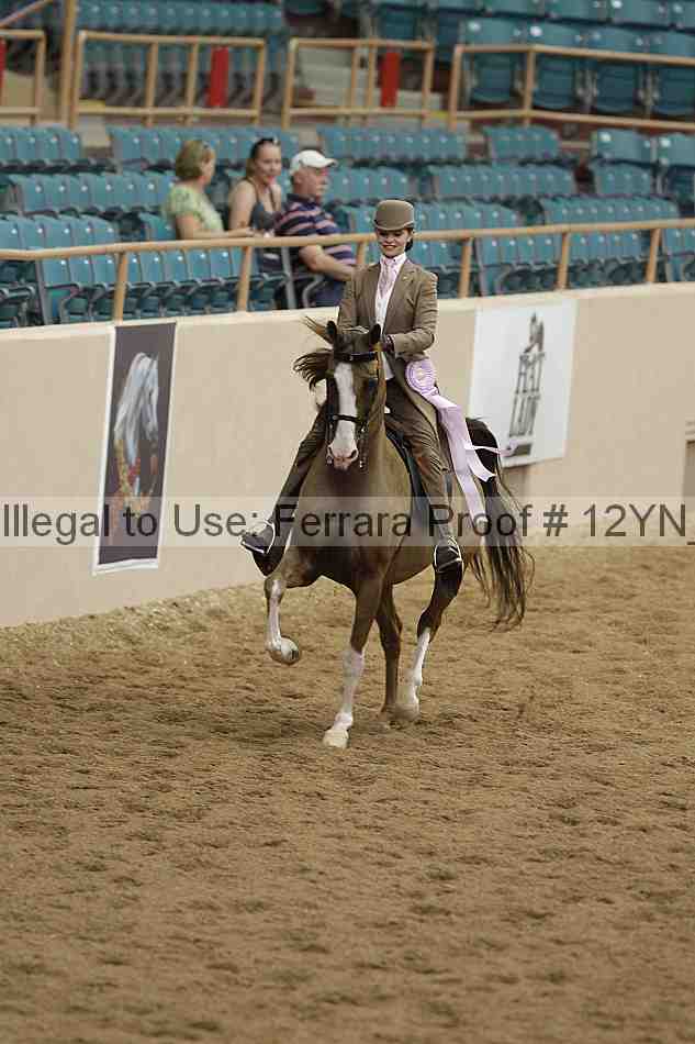 Proof 12yn_06998