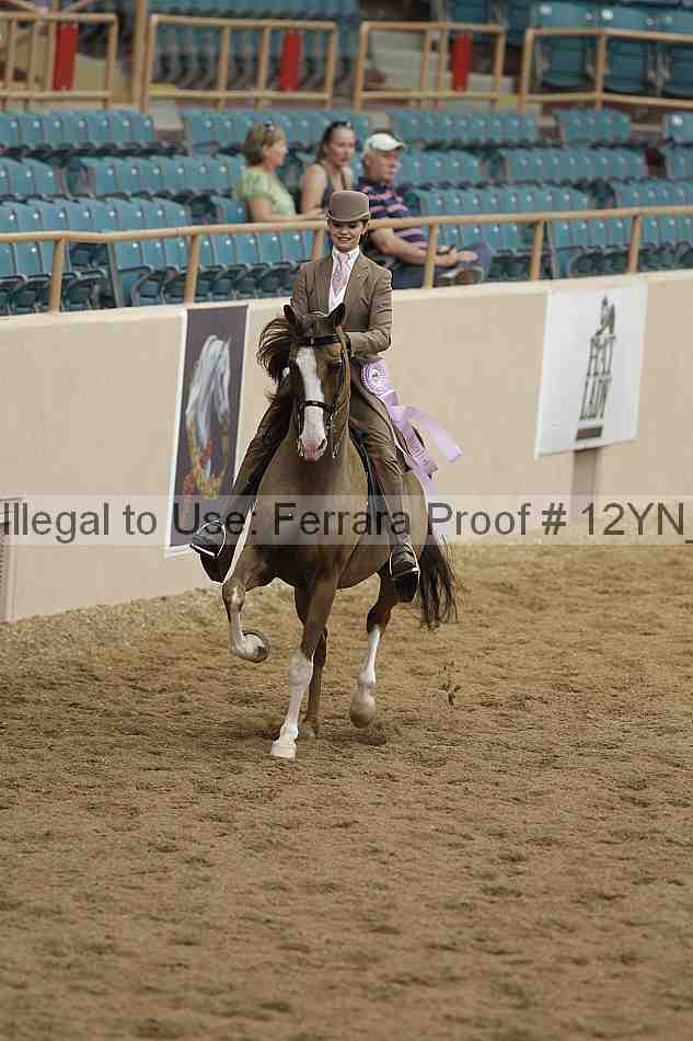 Proof 12yn_06999