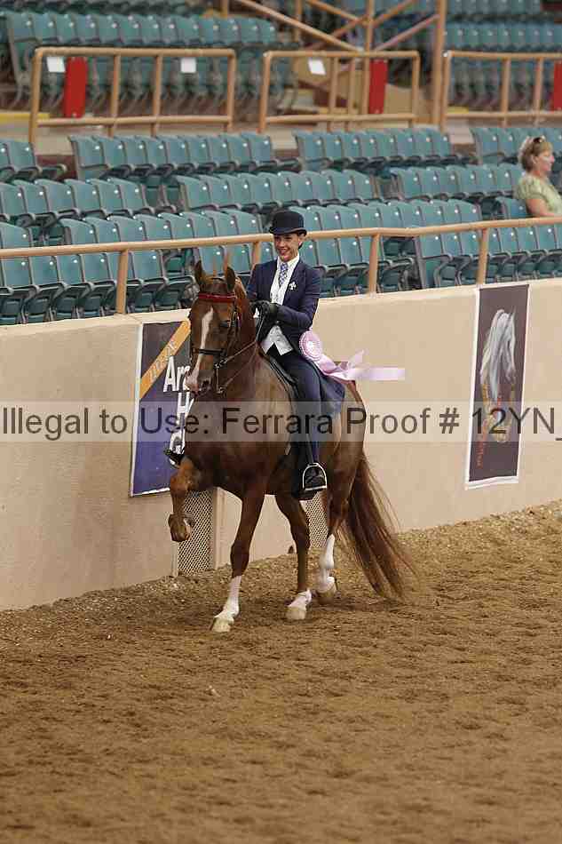 Proof 12yn_07004
