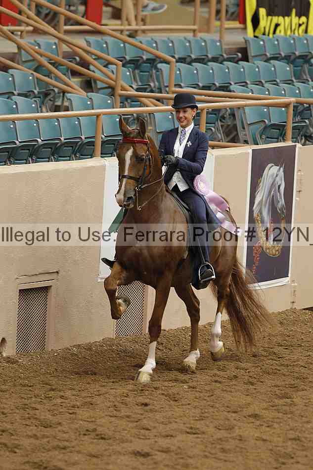 Proof 12yn_07005