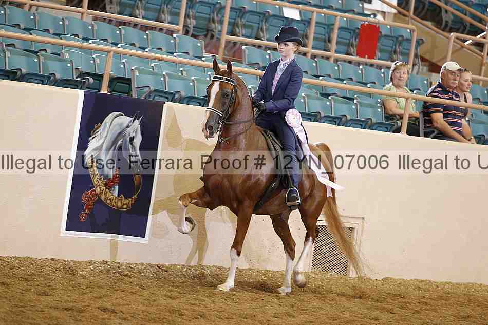Proof 12yn_07006
