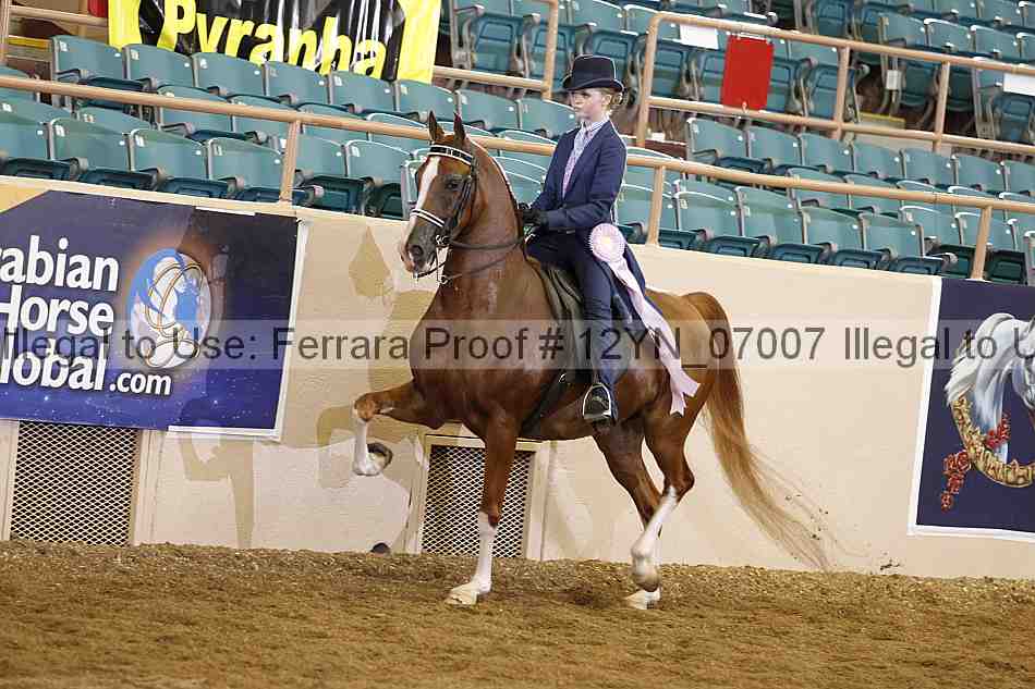Proof 12yn_07007