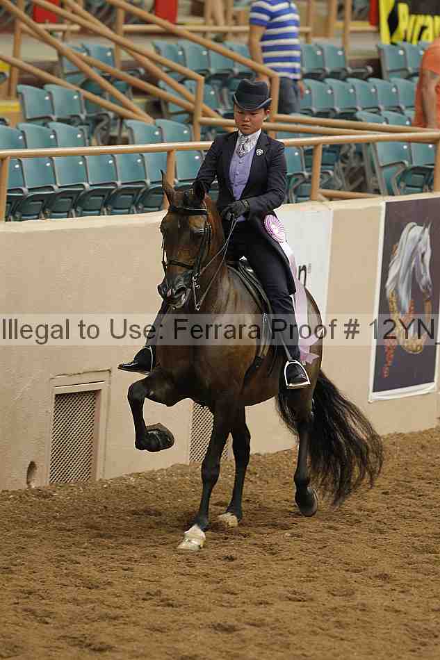 Proof 12yn_07009