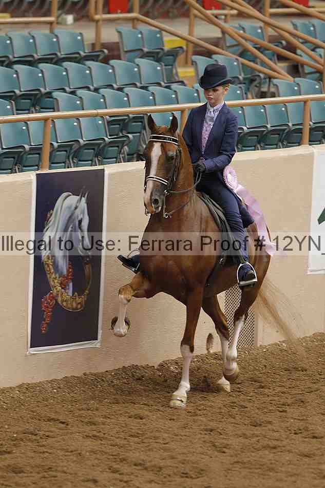 Proof 12yn_07015