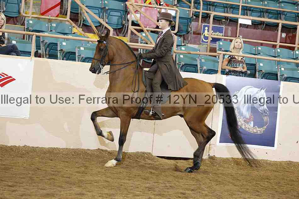Proof 12yn_20533