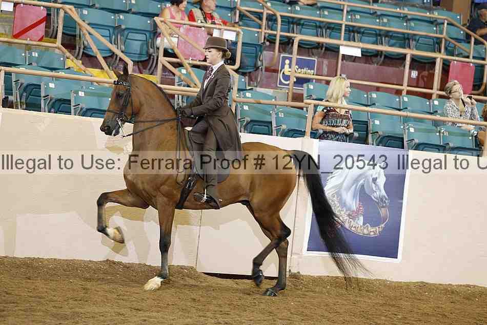 Proof 12yn_20543