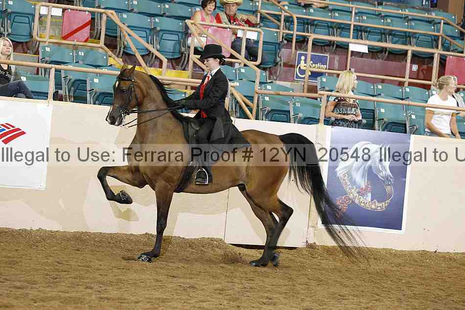 Proof 12yn_20548
