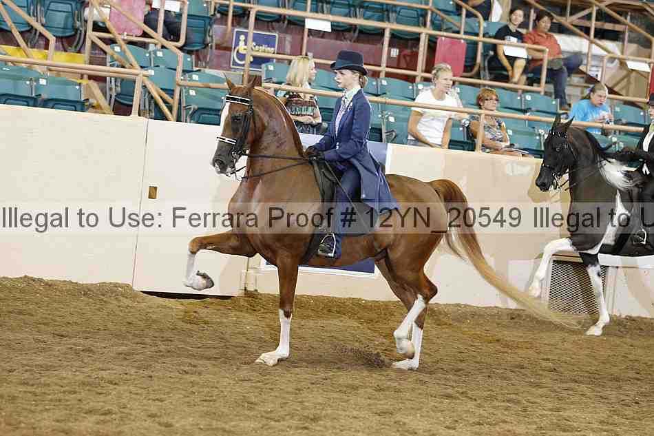 Proof 12yn_20549