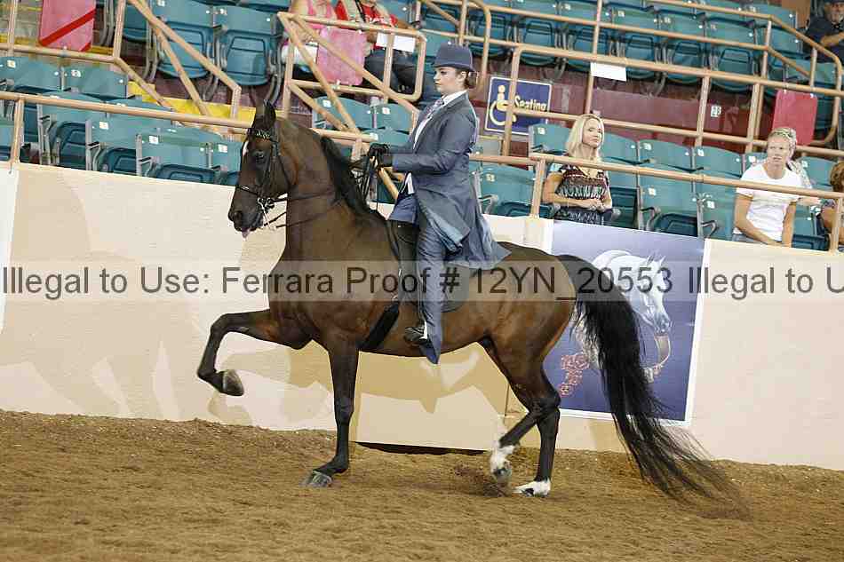 Proof 12yn_20553