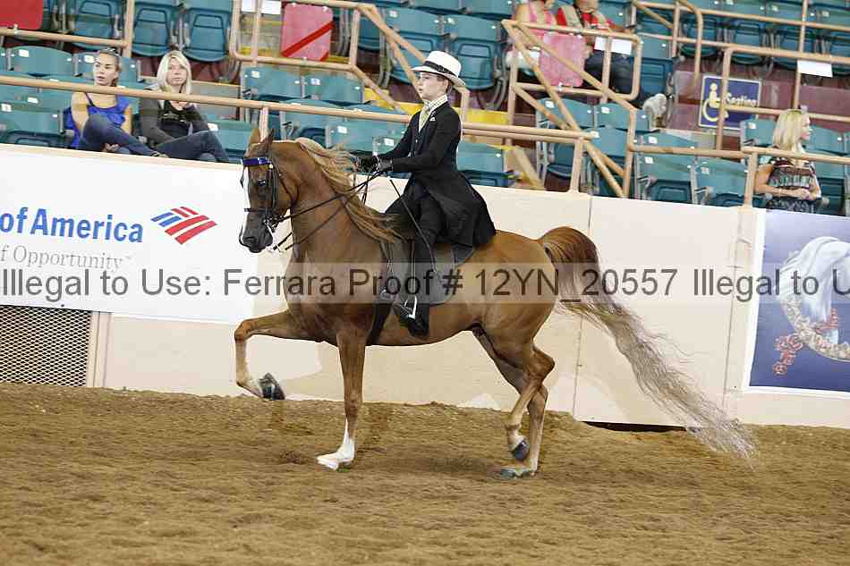 Proof 12yn_20557