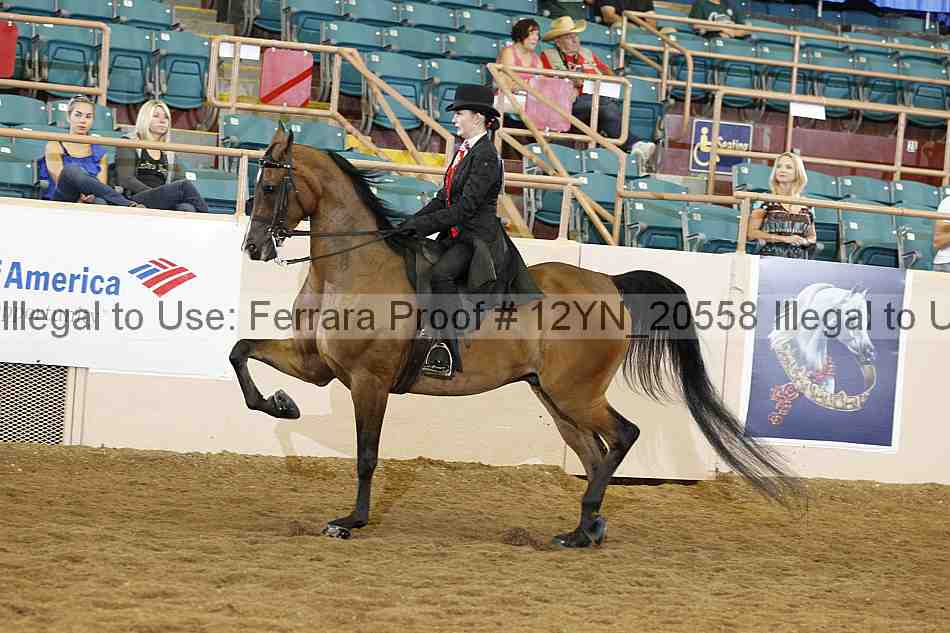 Proof 12yn_20558