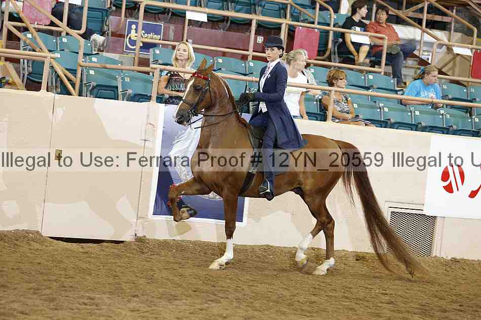 Proof 12yn_20559
