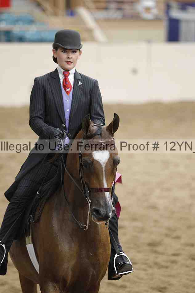 Proof 12yn_20579