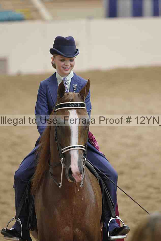 Proof 12yn_20594