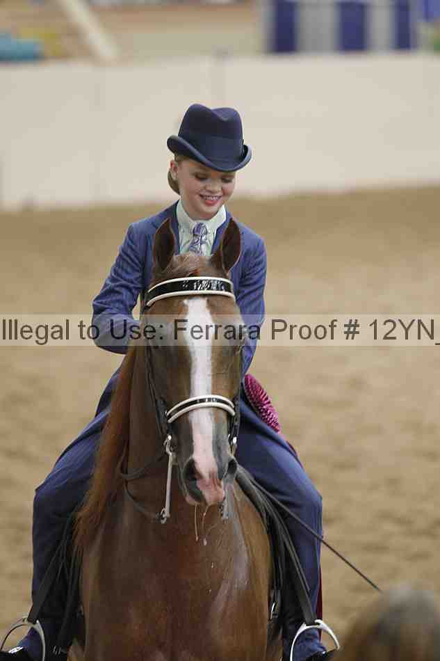 Proof 12yn_20595