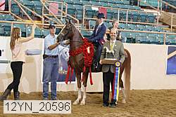 12yn_20596 proof