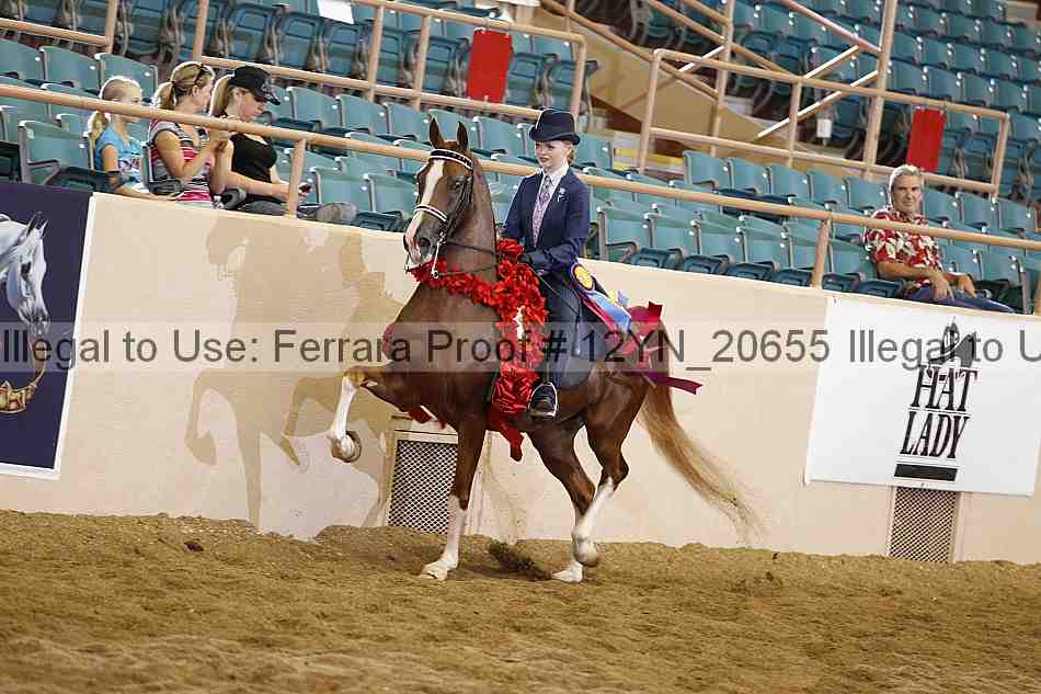 Proof 12yn_20655