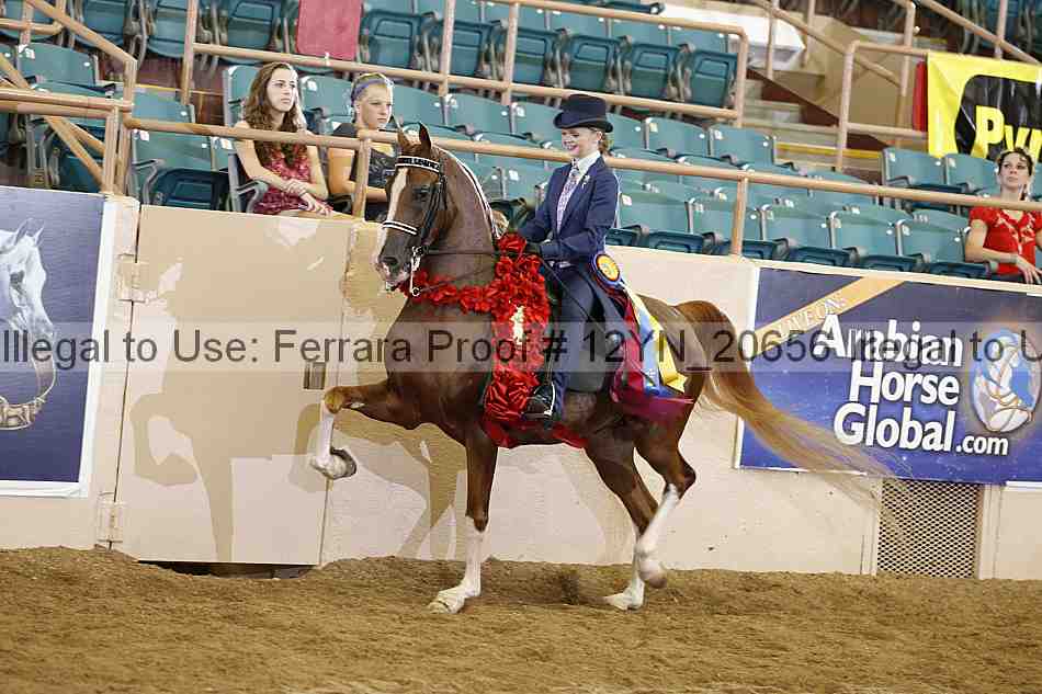 Proof 12yn_20656