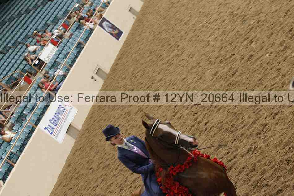 Proof 12yn_20664