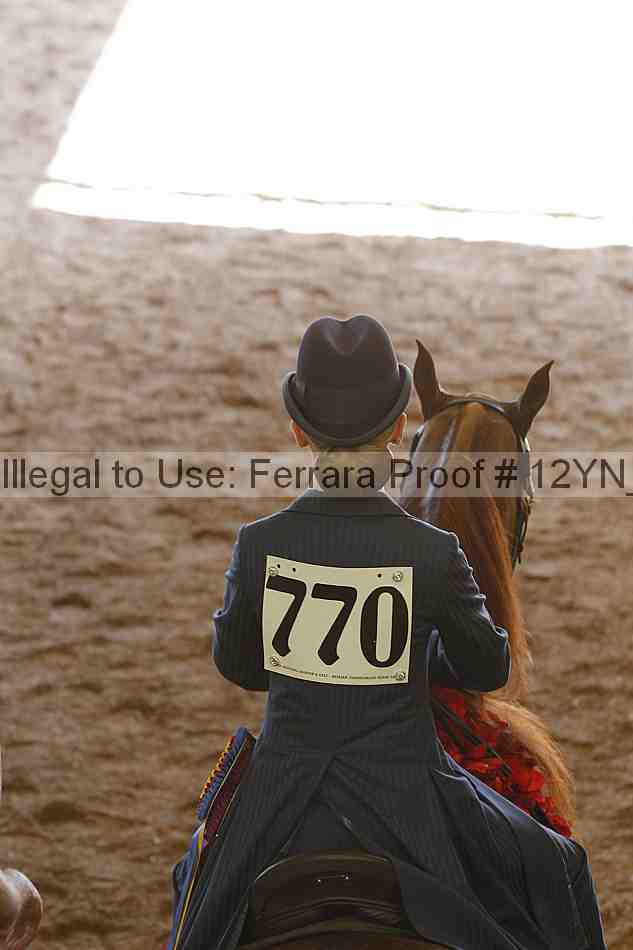 Proof 12yn_20669