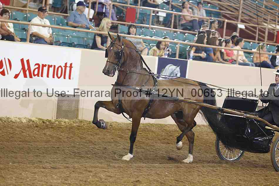 Proof 12yn_00653