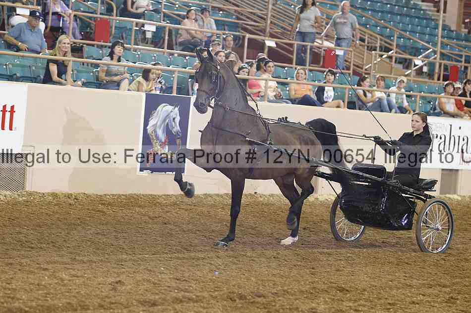 Proof 12yn_00654