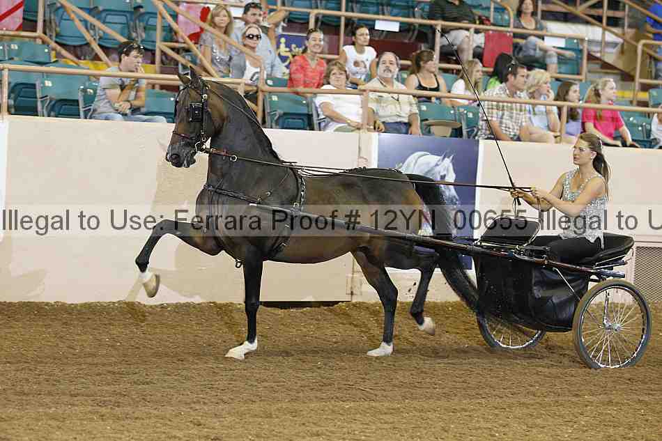 Proof 12yn_00655