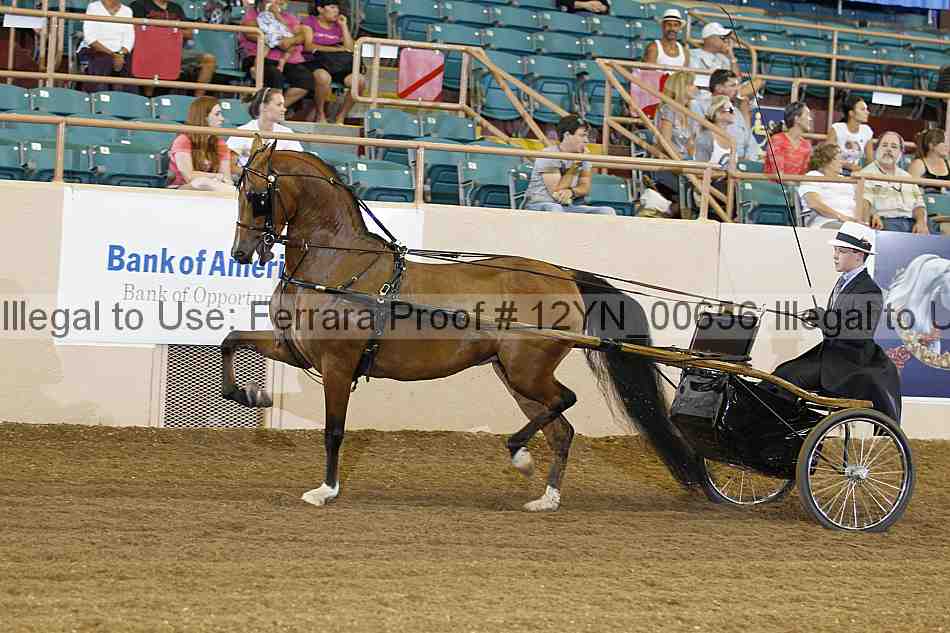 Proof 12yn_00656