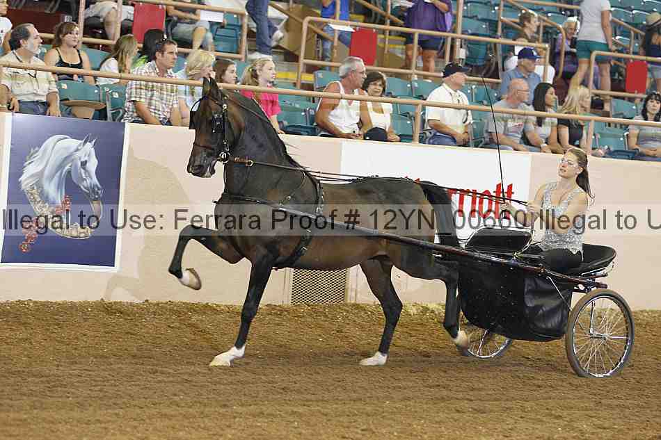 Proof 12yn_00660