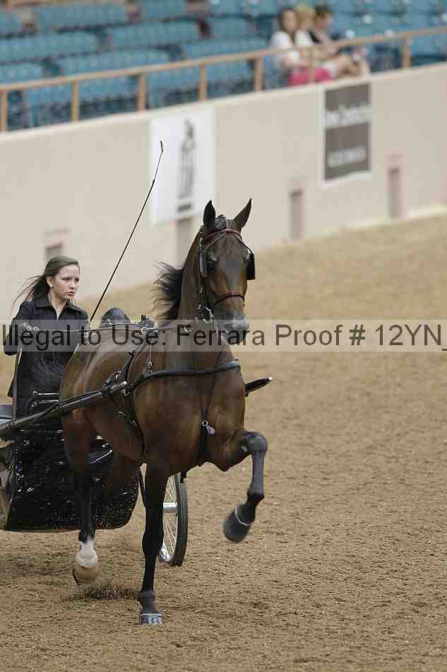 Proof 12yn_00664