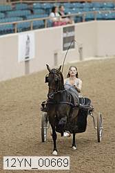 12yn_00669 proof
