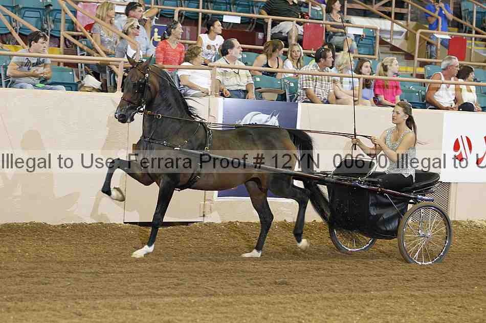 Proof 12yn_00670