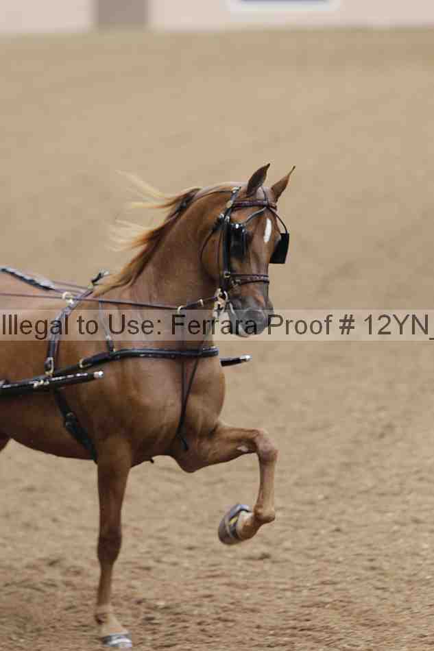 Proof 12yn_00675