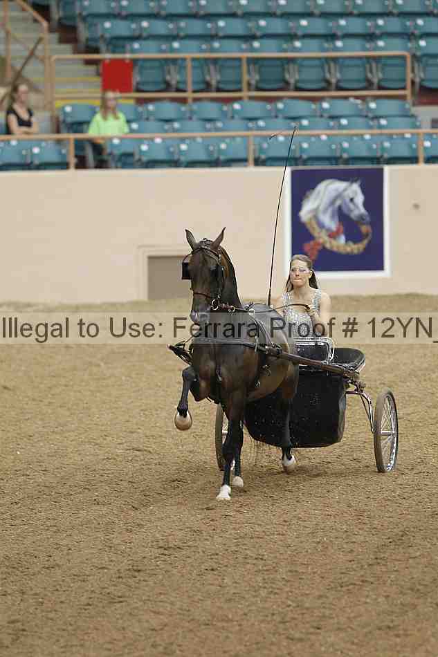Proof 12yn_00685
