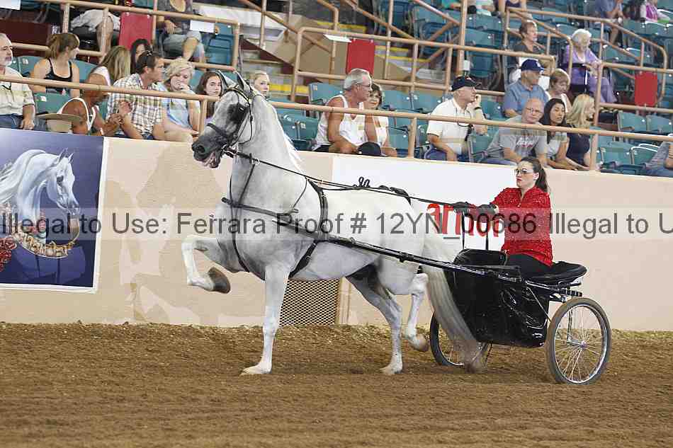 Proof 12yn_00686