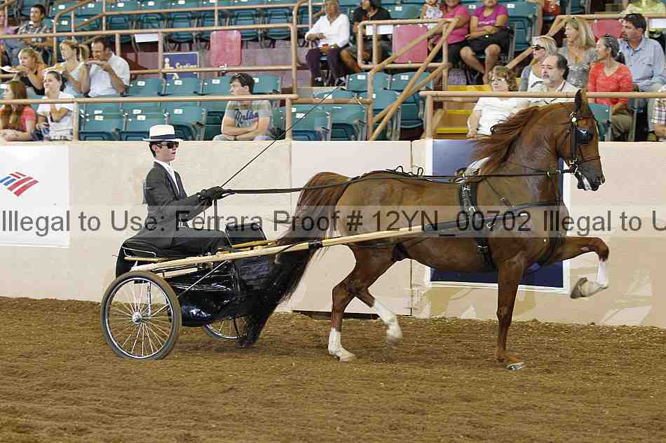 Proof 12yn_00702