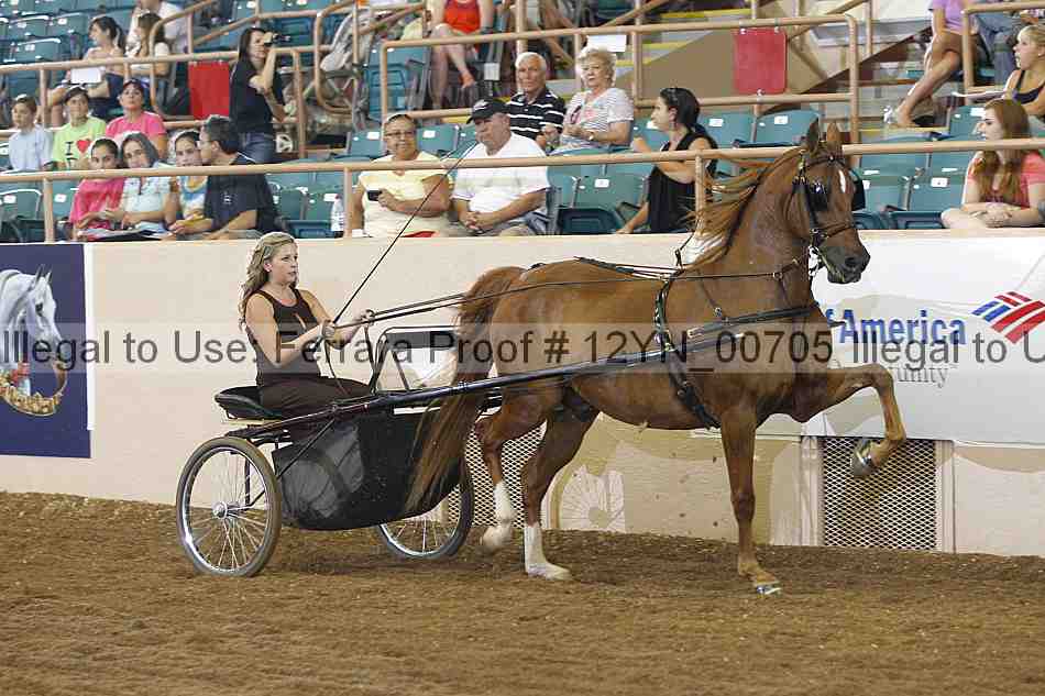 Proof 12yn_00705